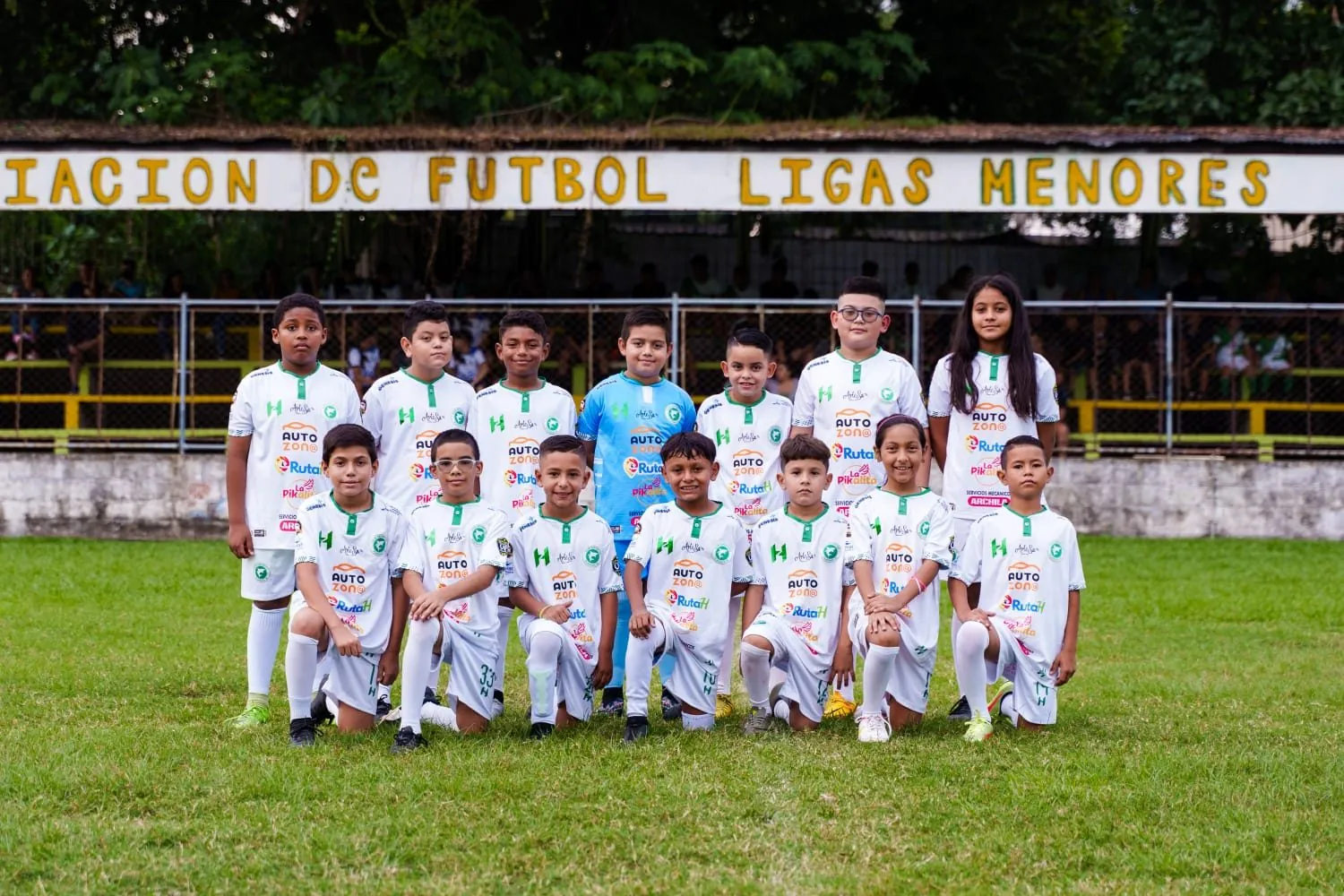 Categoría U-10, Crecimiento Constante.